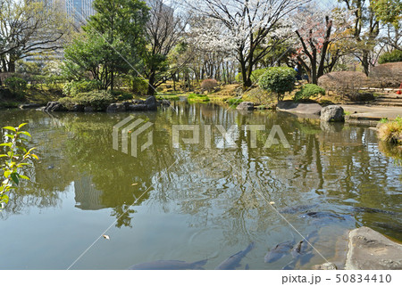 皇居周辺散歩：和式庭園　国会前庭 50834410