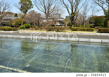皇居周辺散歩:洋式庭園 国会前庭 皇居周辺散歩:洋式庭園 国会前庭 50834415