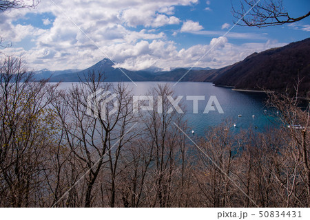 北海道　支笏湖　展望台からの眺め 50834431