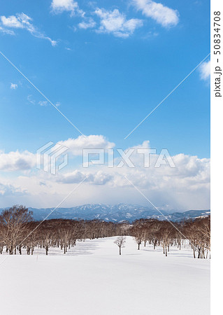 日本・北海道洞爺湖、冬の風景 日本・北海道洞爺湖、冬の風景 50834708