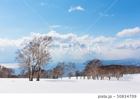 日本・北海道洞爺湖、冬の風景 50834709