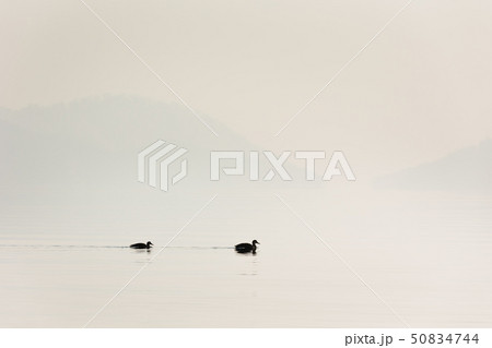 日本・北海道洞爺湖、冬の風景 50834744