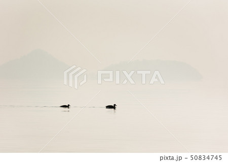 日本・北海道洞爺湖、冬の風景 日本・北海道洞爺湖、冬の風景 50834745