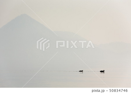 日本・北海道洞爺湖、冬の風景 日本・北海道洞爺湖、冬の風景 50834746