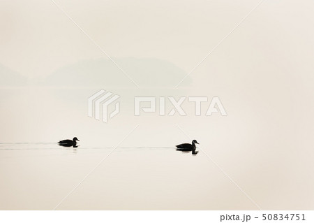 日本・北海道洞爺湖、冬の風景 50834751