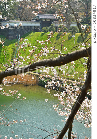 皇居周辺散歩：半蔵門濠と半蔵門 50834917