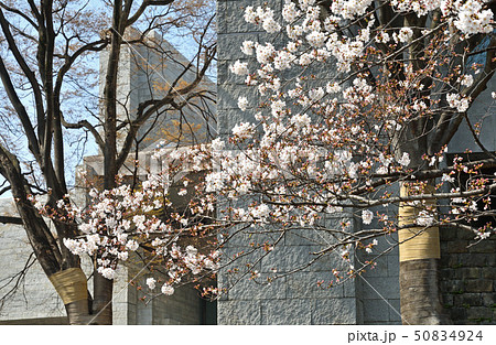 皇居周辺散歩:最高裁判所 皇居周辺散歩:最高裁判所 50834924