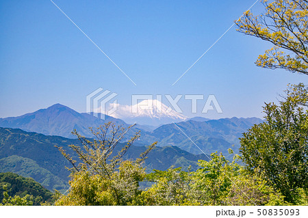 高尾山 山頂 大見晴台から眺望する富士山 5月初旬 高尾山 山頂 大見晴台から眺望する富士山 5月初旬 50835093