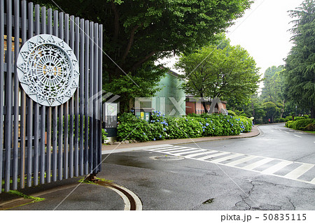 梅雨の風景 東京大学医科学研究所 梅雨の風景 東京大学医科学研究所 50835115