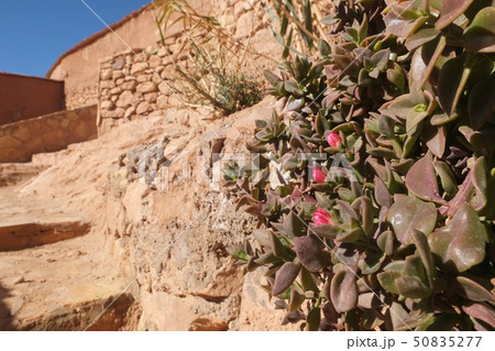 モロッコ Ait Ben Haddou カスバ　アイット・ベン・ハドゥ 50835277