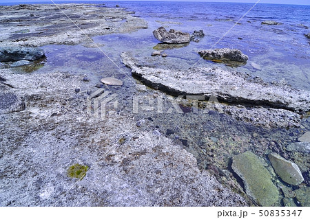 山陰海岸ジオパーク五色浜園地 山陰海岸ジオパーク五色浜園地 50835347