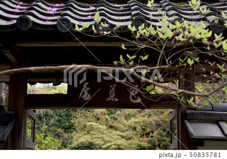 金福寺　芭蕉庵入口 50835781