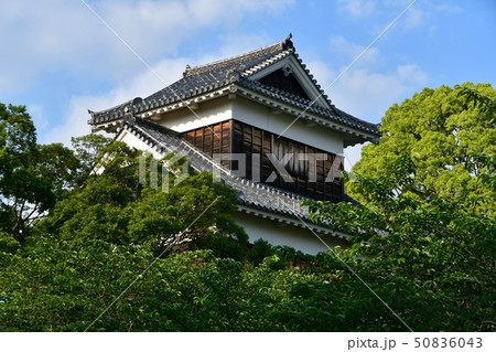 早春の熊本城 熊本地震 復旧工事 2019年 早春の熊本城 熊本地震 復旧工事 2019年 50836043