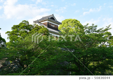 早春の熊本城　熊本地震　復旧工事  ２０１９年 50836044