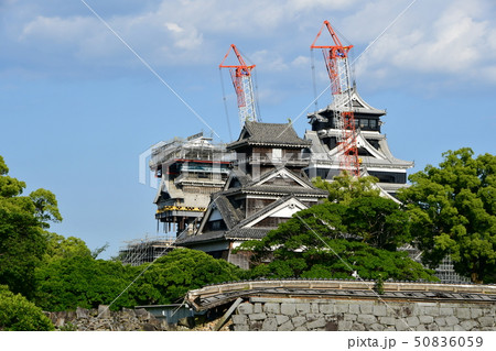 早春の熊本城　熊本地震　復旧工事  ２０１９年 50836059