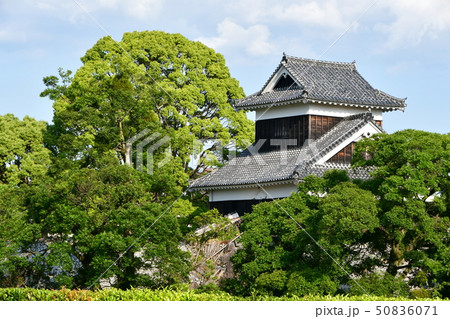 早春の熊本城　熊本地震　復旧工事  ２０１９年 50836071