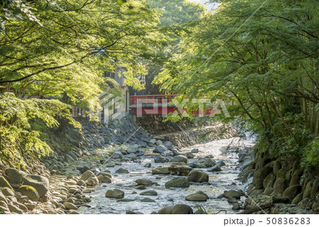 修善寺温泉　桂川と桂橋 50836283