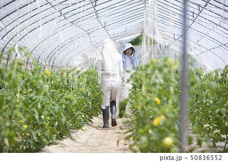 農家の親子 50836552