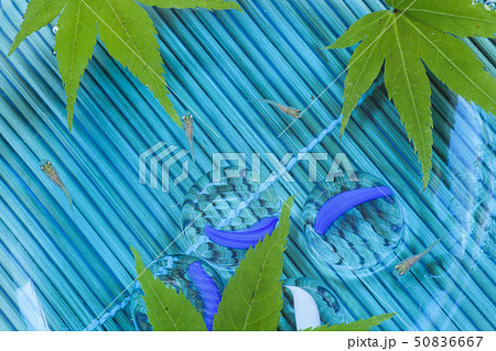 涼風・清涼感のある水面に、メダカを配した夏風景 涼風・清涼感のある水面に、メダカを配した夏風景 50836667