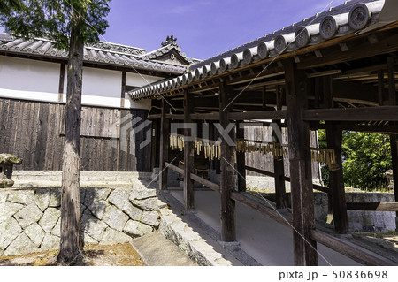 岡山県倉敷市　鯉喰神社　拝殿 50836698