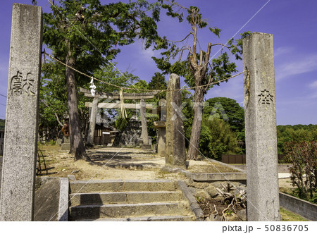 岡山県倉敷市 鯉喰神社 鳥居と石柱 岡山県倉敷市 鯉喰神社 鳥居と石柱 50836705
