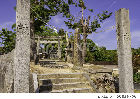 岡山県倉敷市 鯉喰神社 鳥居と石柱 岡山県倉敷市 鯉喰神社 鳥居と石柱 50836706