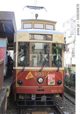 都電荒川線　三ノ輪橋駅のバラ号 50836870