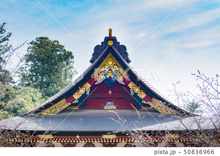 塩釜神社志波彦神社と左右宮拝殿屋根 塩釜神社志波彦神社と左右宮拝殿屋根 50836966