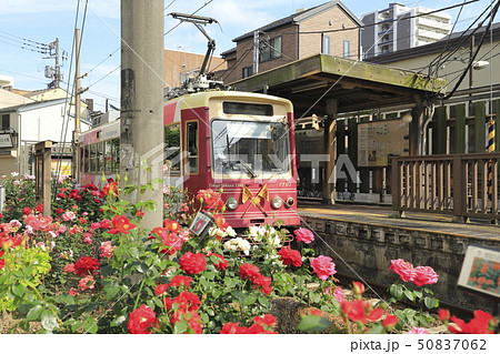 都電荒川線 三ノ輪橋駅 都電荒川線 三ノ輪橋駅 50837062