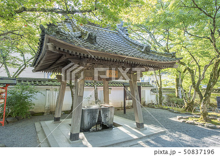 修禅寺 水屋 大師の湯 修禅寺 水屋 大師の湯 50837196