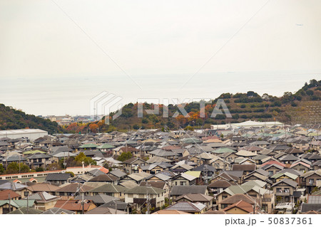 丘から見る屋根が広がる住宅地 50837361
