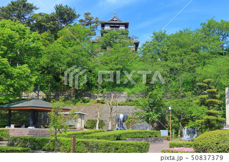 【福井県】晴天下の新緑の丸岡城 【福井県】晴天下の新緑の丸岡城 50837379