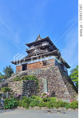 【福井県】晴天下の新緑の丸岡城 【福井県】晴天下の新緑の丸岡城 50837387