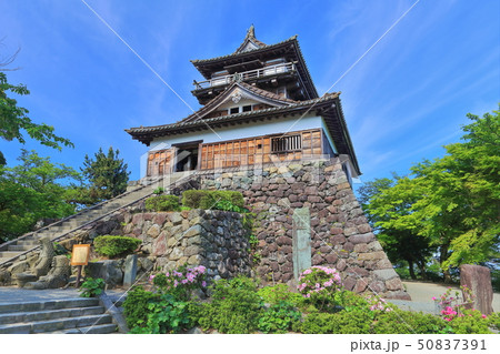【福井県】晴天下の新緑の丸岡城 50837391