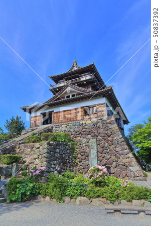 【福井県】晴天下の新緑の丸岡城 50837392