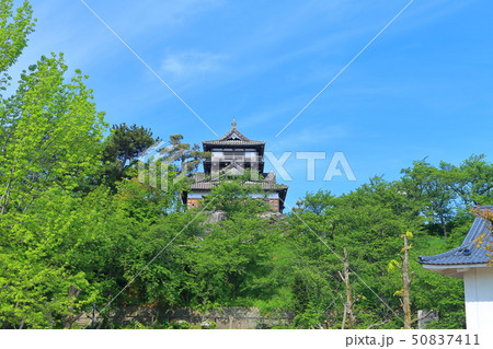 【福井県】晴天下の新緑の丸岡城 50837411