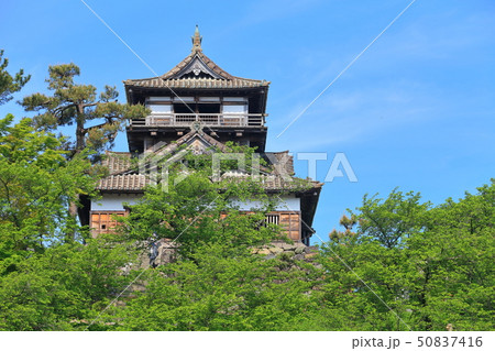 【福井県】晴天下の新緑の丸岡城 50837416