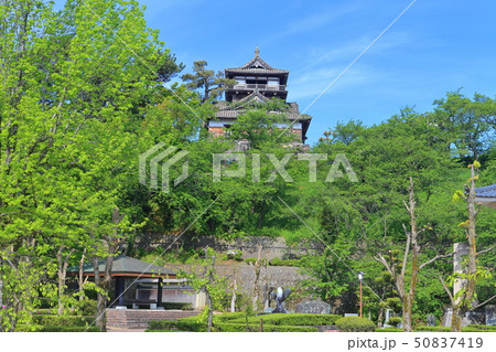 【福井県】晴天下の新緑の丸岡城 50837419