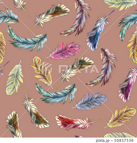 Seamless pattern of colored feathers painted in watercolor Seamless pattern of colored feathers painted in watercolor 50837536