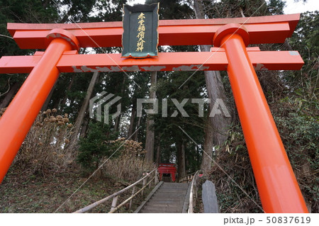 赤堂稲荷大明神 赤堂稲荷大明神 50837619