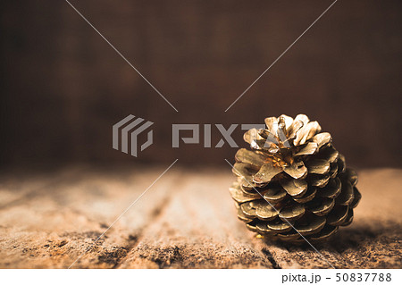 gold pine cone on grunge wood table and dark brown 50837788