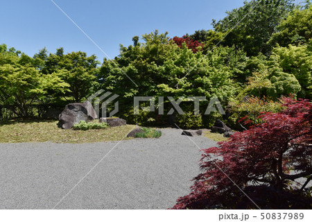 弘川寺 北庭園 弘川寺 北庭園 50837989