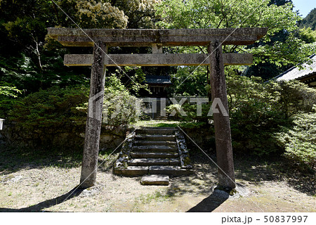 弘川寺 鎮守堂 弘川寺 鎮守堂 50837997