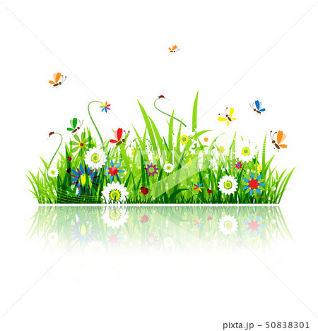 Summer green meadow for your design Summer green meadow for your design 50838301