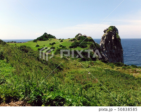 壱岐の猿岩 50838585
