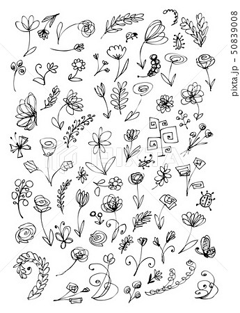 Sketch of floral elements for your design  50839008