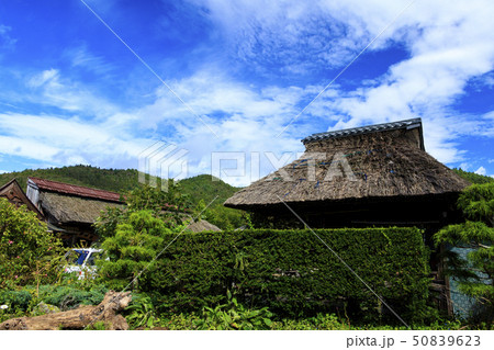 忍野八海（秋） 50839623