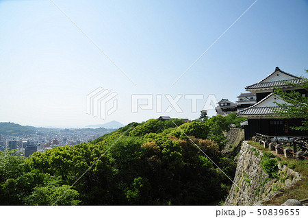 松山城2019年① 50839655