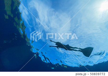 スキン・ダイビングする女性 スキン・ダイビングする女性 50839772