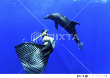 イルカと泳ぐ女性 イルカと泳ぐ女性 50839774